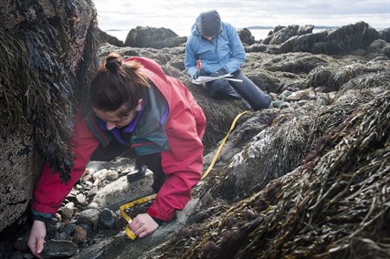 Adrian Kiva Down By The Bay