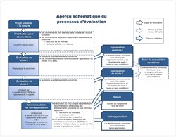 Assurance De La Qualite Apercu Schematique Du Processus D’Evaluation